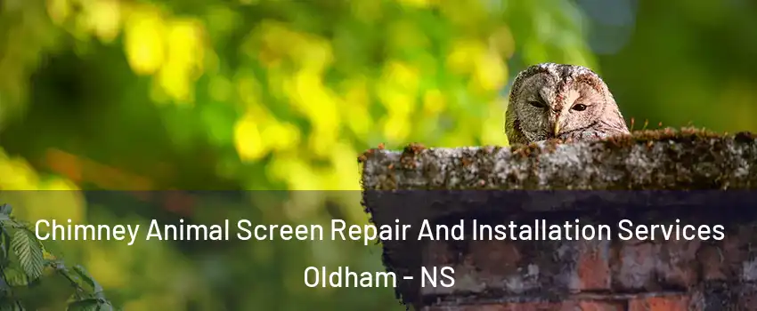  Chimney Animal Screen Repair And Installation Services Oldham - NS