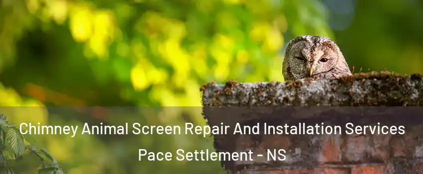  Chimney Animal Screen Repair And Installation Services Pace Settlement - NS