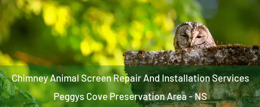  Chimney Animal Screen Repair And Installation Services Peggys Cove Preservation Area - NS