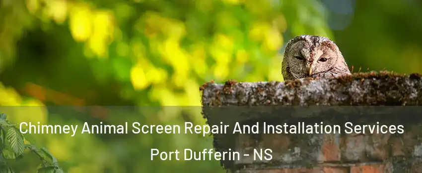  Chimney Animal Screen Repair And Installation Services Port Dufferin - NS