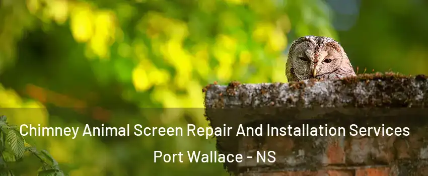  Chimney Animal Screen Repair And Installation Services Port Wallace - NS