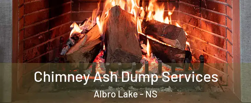  Chimney Ash Dump Services Albro Lake - NS