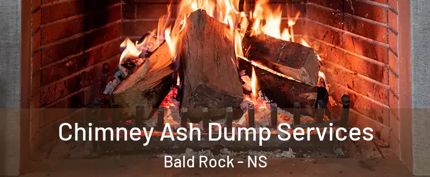 Chimney Ash Dump Services Bald Rock - NS