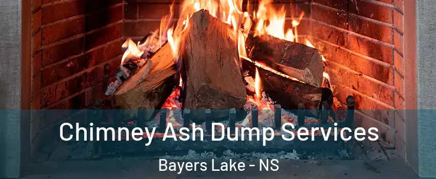  Chimney Ash Dump Services Bayers Lake - NS