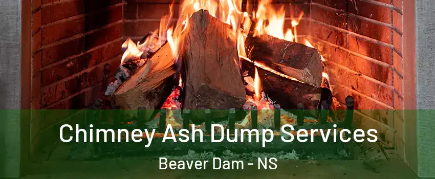  Chimney Ash Dump Services Beaver Dam - NS
