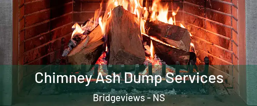  Chimney Ash Dump Services Bridgeviews - NS