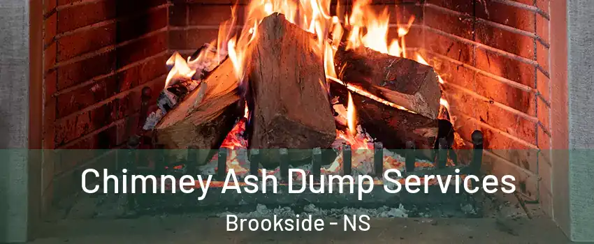  Chimney Ash Dump Services Brookside - NS
