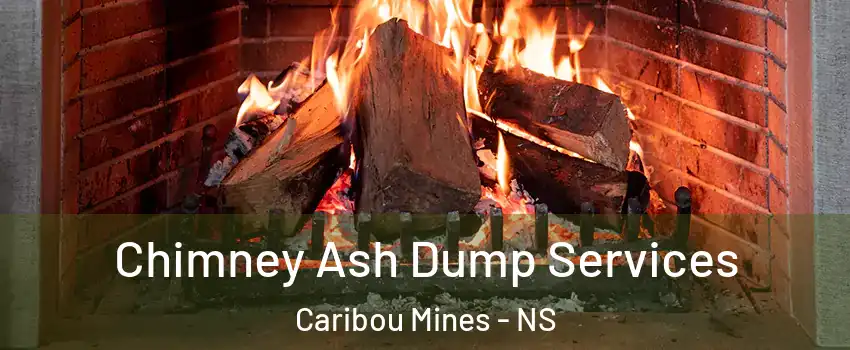  Chimney Ash Dump Services Caribou Mines - NS