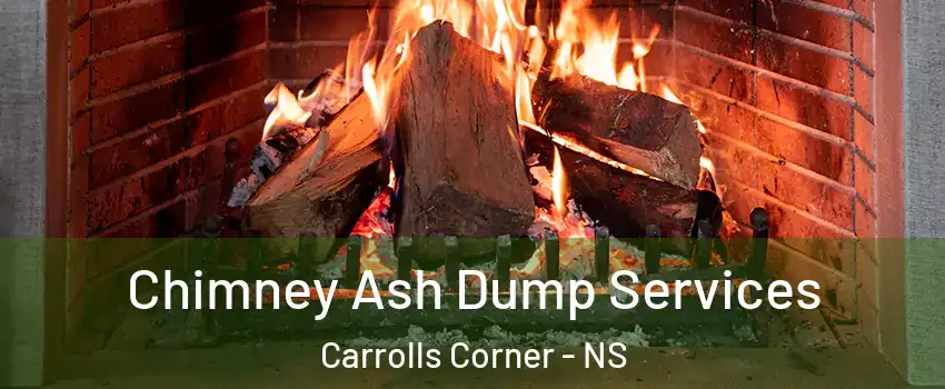  Chimney Ash Dump Services Carrolls Corner - NS