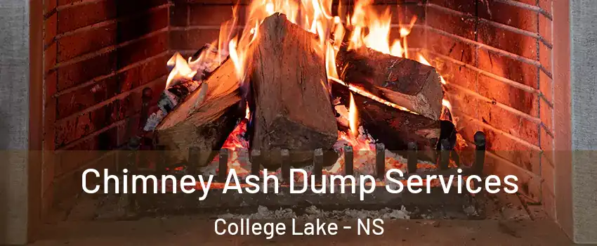  Chimney Ash Dump Services College Lake - NS