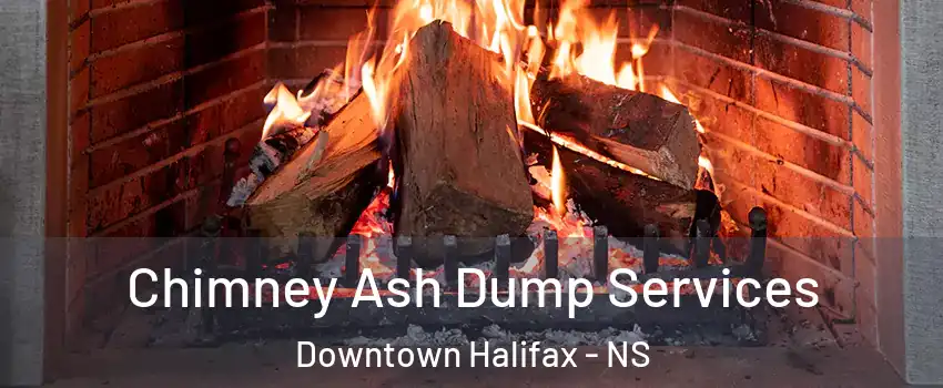  Chimney Ash Dump Services Downtown Halifax - NS