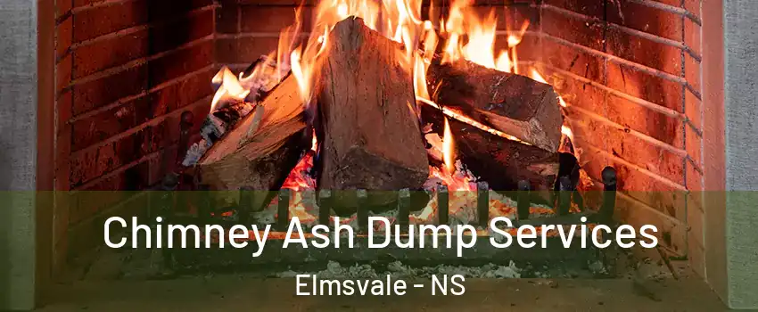  Chimney Ash Dump Services Elmsvale - NS