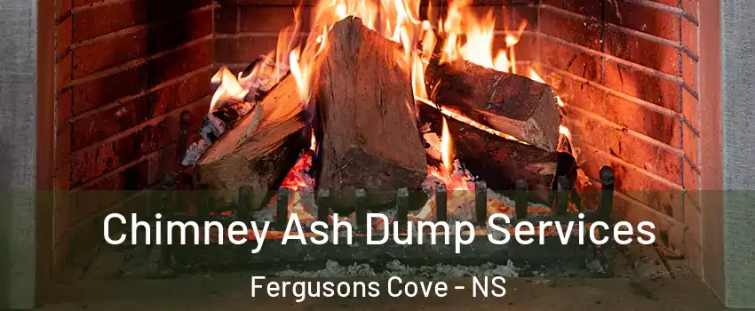  Chimney Ash Dump Services Fergusons Cove - NS