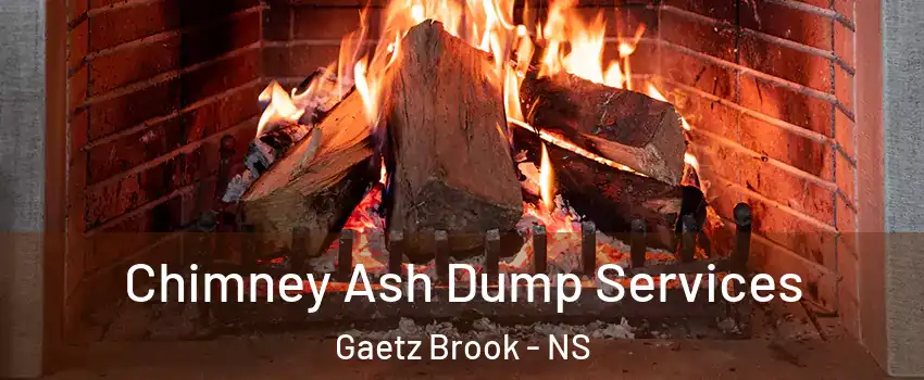  Chimney Ash Dump Services Gaetz Brook - NS