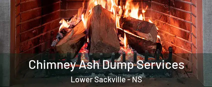  Chimney Ash Dump Services Lower Sackville - NS