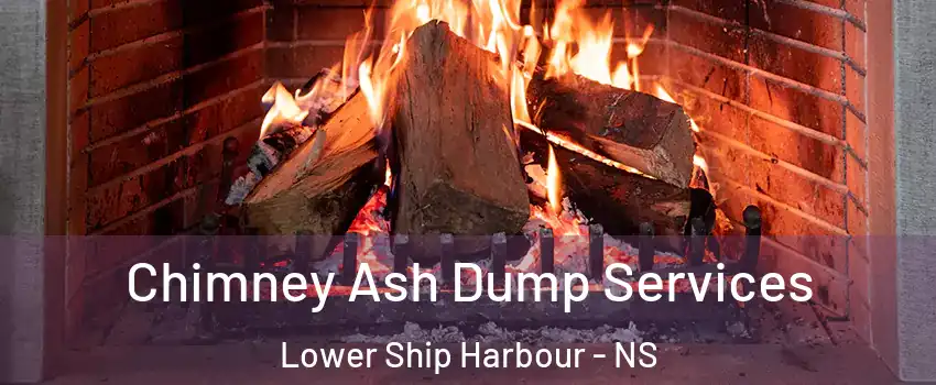  Chimney Ash Dump Services Lower Ship Harbour - NS