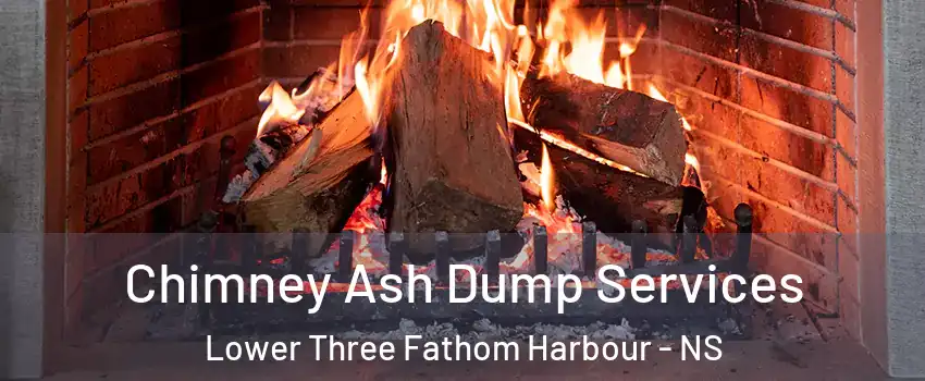  Chimney Ash Dump Services Lower Three Fathom Harbour - NS