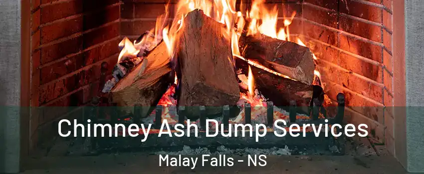  Chimney Ash Dump Services Malay Falls - NS