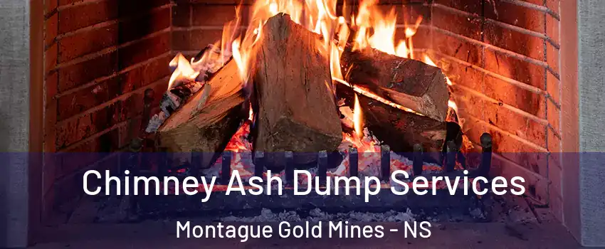  Chimney Ash Dump Services Montague Gold Mines - NS