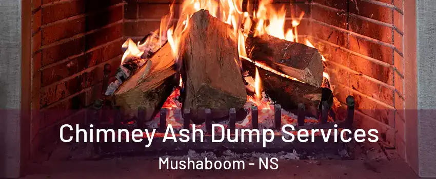  Chimney Ash Dump Services Mushaboom - NS