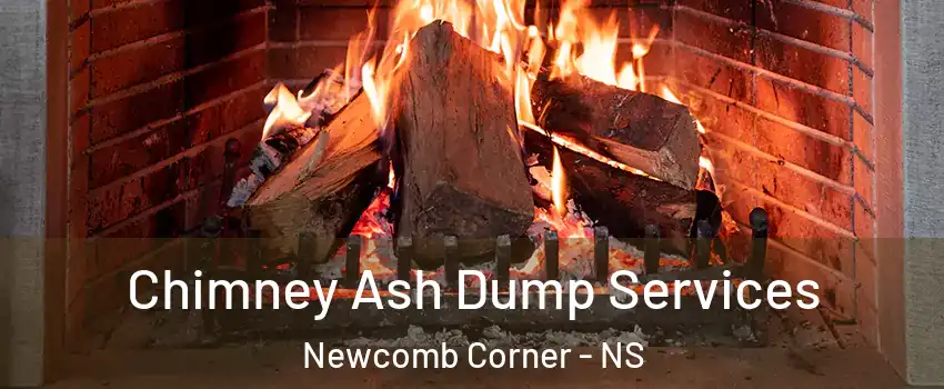  Chimney Ash Dump Services Newcomb Corner - NS