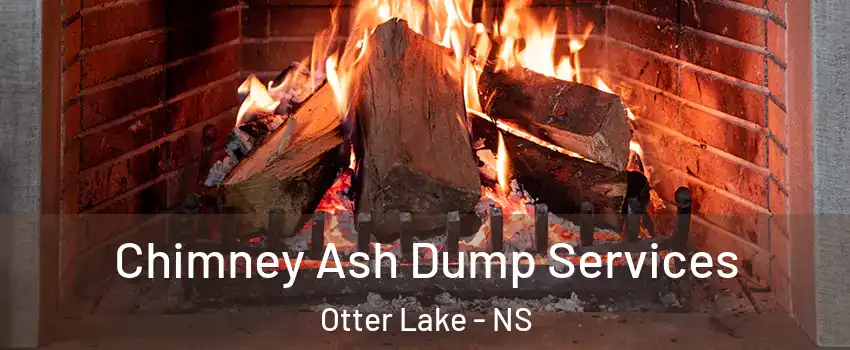  Chimney Ash Dump Services Otter Lake - NS