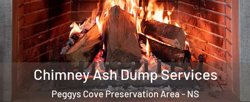  Chimney Ash Dump Services Peggys Cove Preservation Area - NS