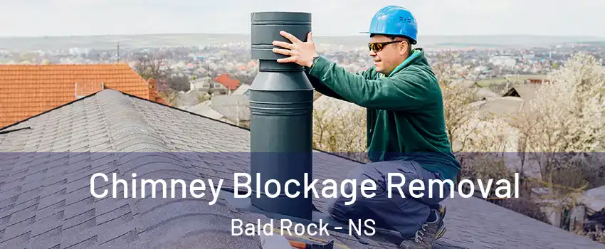  Chimney Blockage Removal Bald Rock - NS