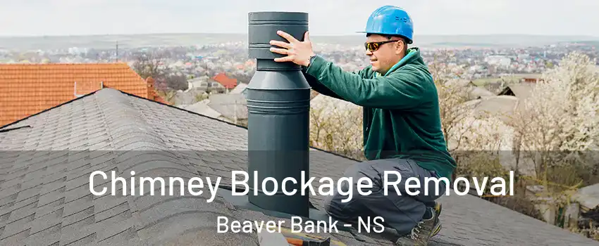  Chimney Blockage Removal Beaver Bank - NS