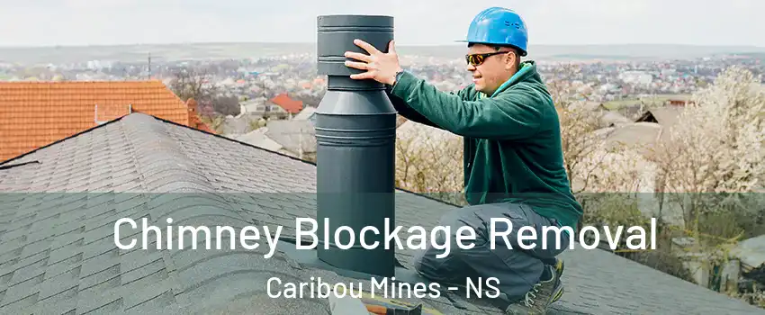  Chimney Blockage Removal Caribou Mines - NS