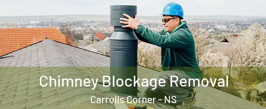  Chimney Blockage Removal Carrolls Corner - NS