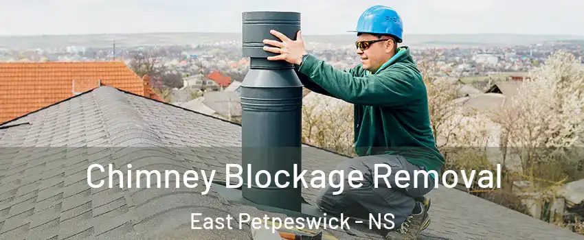  Chimney Blockage Removal East Petpeswick - NS