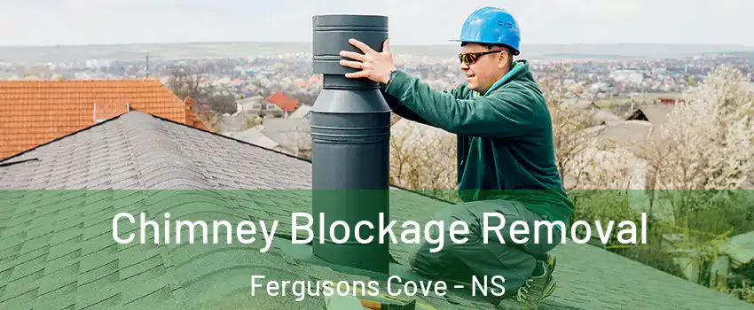  Chimney Blockage Removal Fergusons Cove - NS