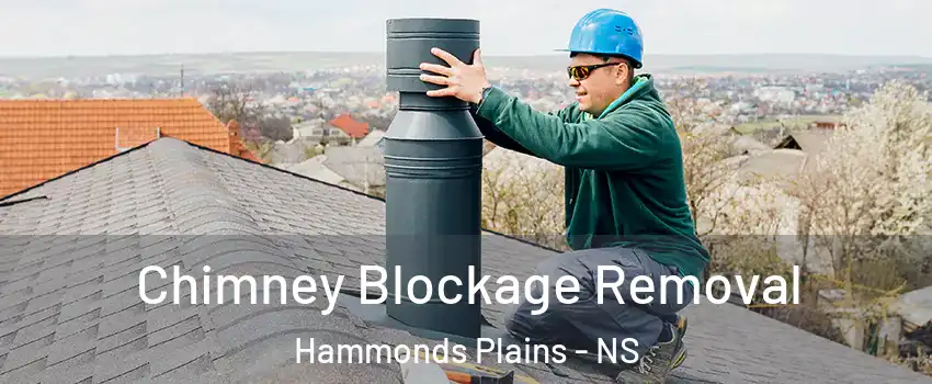  Chimney Blockage Removal Hammonds Plains - NS