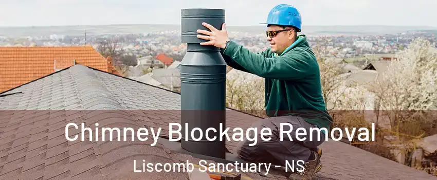  Chimney Blockage Removal Liscomb Sanctuary - NS