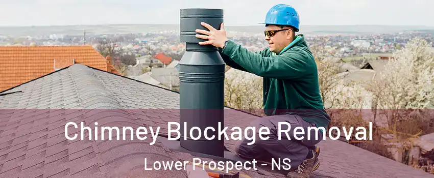  Chimney Blockage Removal Lower Prospect - NS