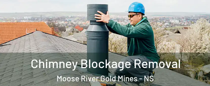  Chimney Blockage Removal Moose River Gold Mines - NS