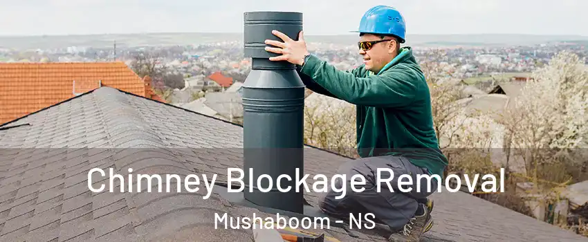  Chimney Blockage Removal Mushaboom - NS