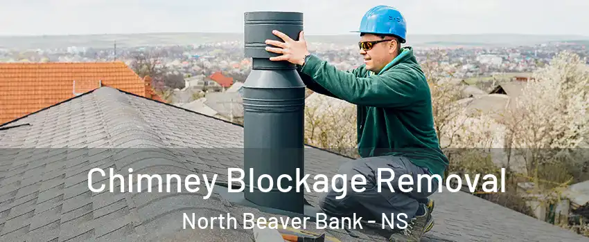  Chimney Blockage Removal North Beaver Bank - NS