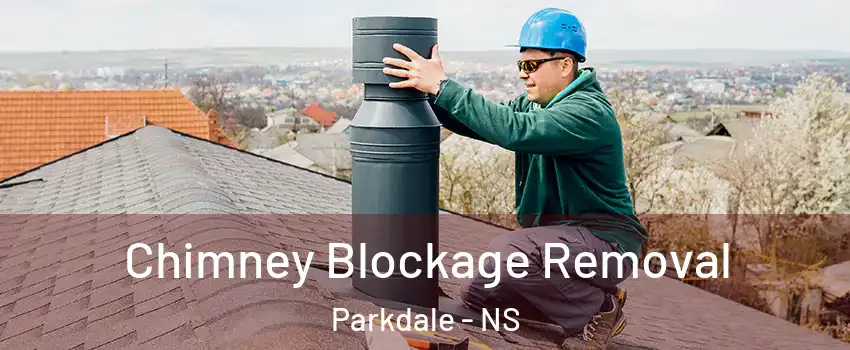  Chimney Blockage Removal Parkdale - NS