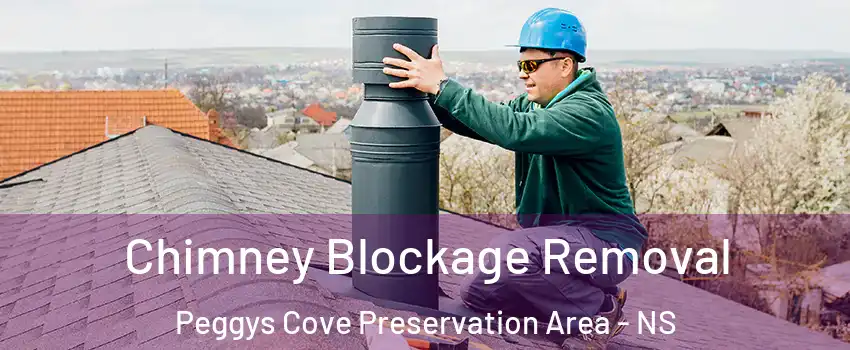  Chimney Blockage Removal Peggys Cove Preservation Area - NS