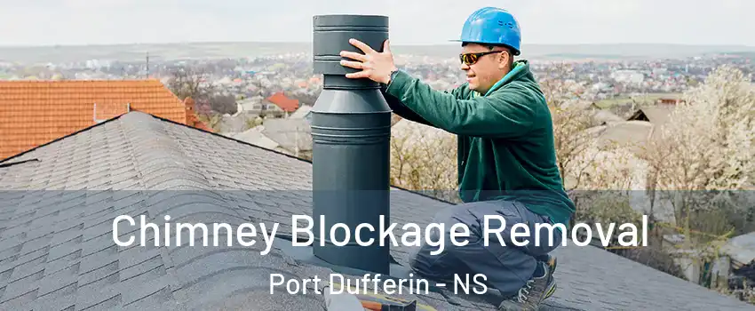  Chimney Blockage Removal Port Dufferin - NS
