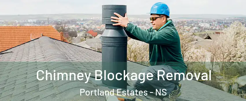  Chimney Blockage Removal Portland Estates - NS