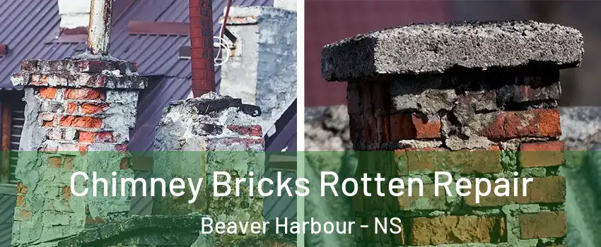  Chimney Bricks Rotten Repair Beaver Harbour - NS