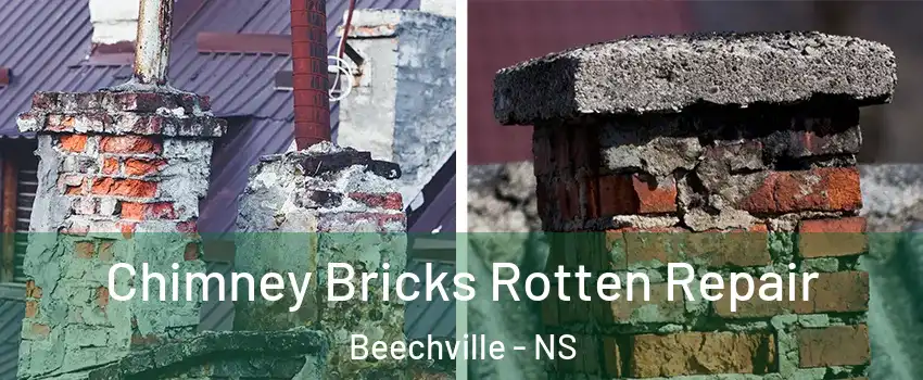  Chimney Bricks Rotten Repair Beechville - NS