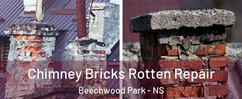  Chimney Bricks Rotten Repair Beechwood Park - NS