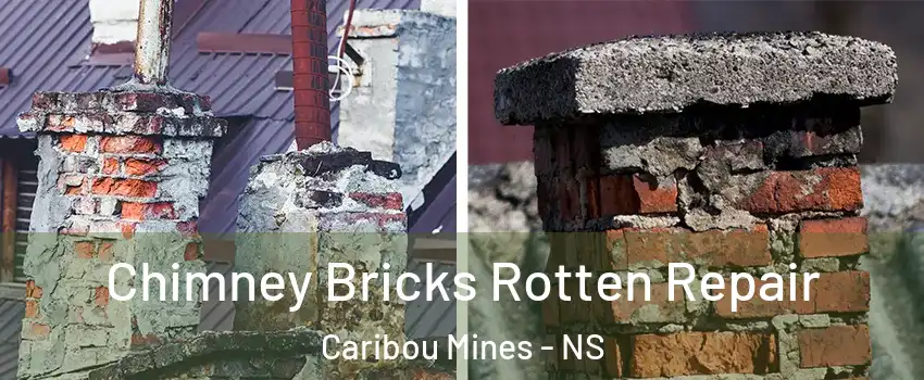  Chimney Bricks Rotten Repair Caribou Mines - NS