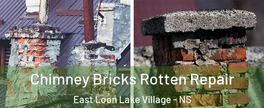  Chimney Bricks Rotten Repair East Loon Lake Village - NS