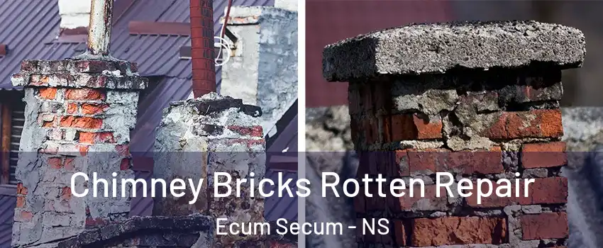  Chimney Bricks Rotten Repair Ecum Secum - NS