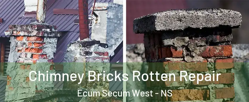  Chimney Bricks Rotten Repair Ecum Secum West - NS